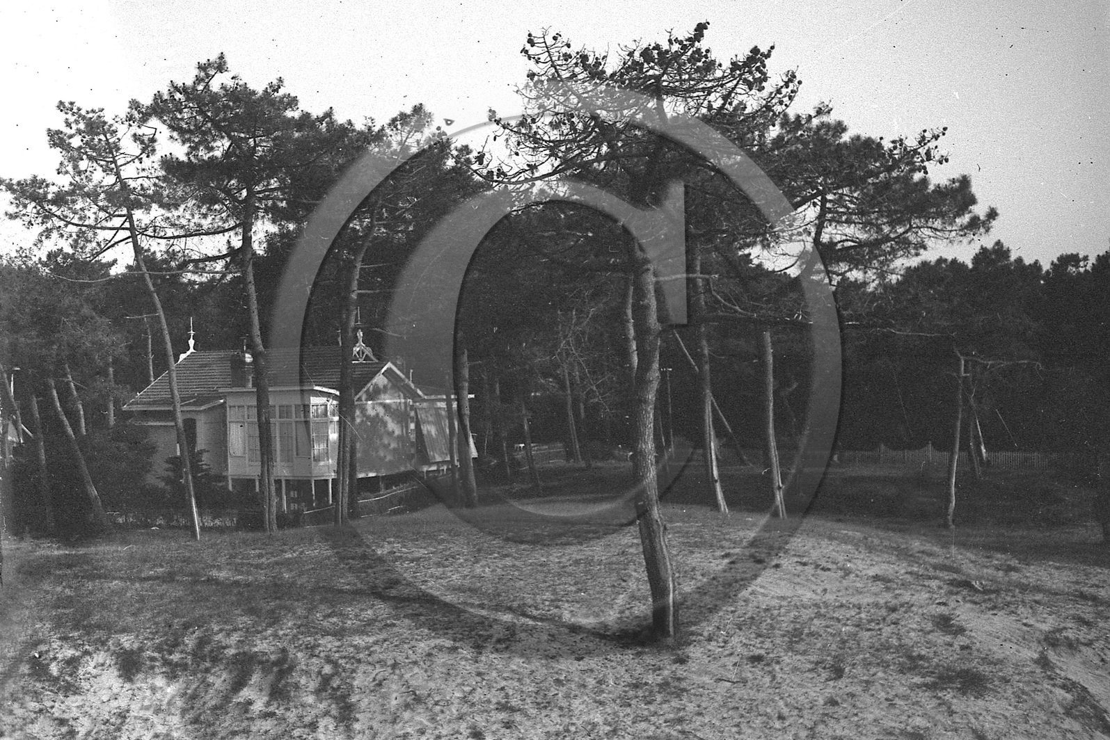 arc 2839.jpg