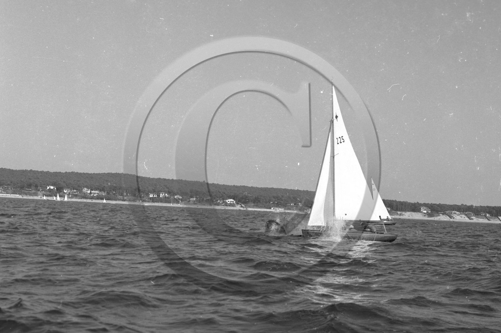 arc 1361.jpg