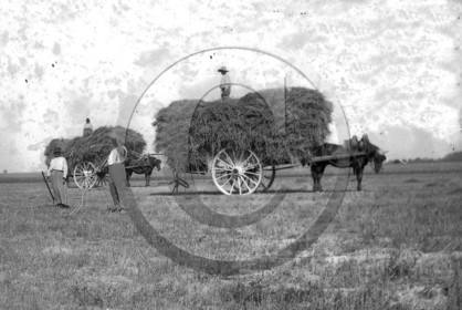 AG 404.jpg