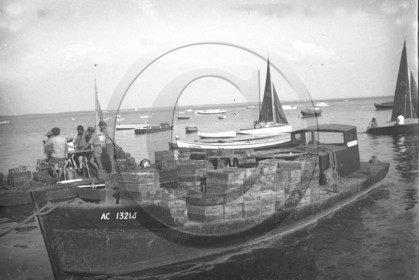 arc 2823.jpg