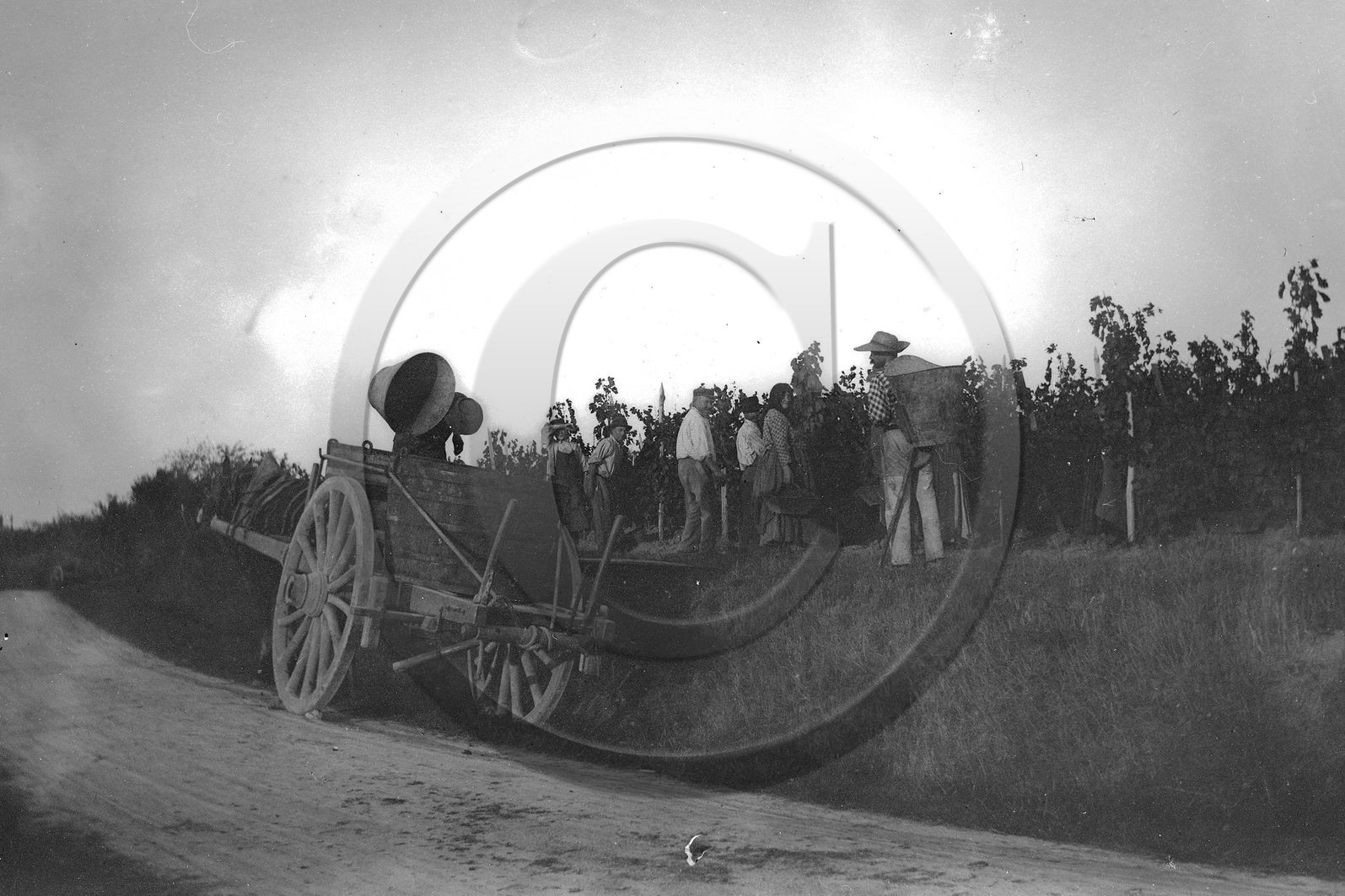 ag rurale 2.jpg