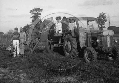 ag 333.jpg
