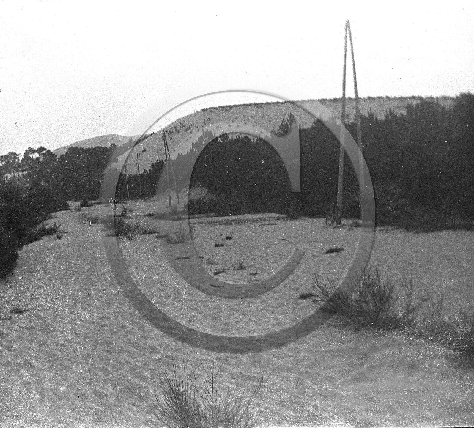 arc 2754.jpg