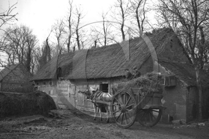 ag 310.jpg