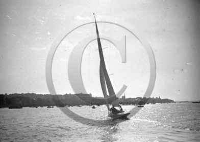 arc 1454.jpg