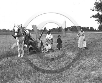 AG 385.jpg