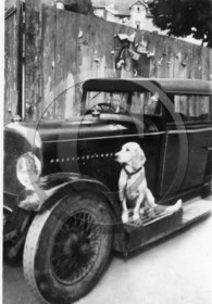 Voisin