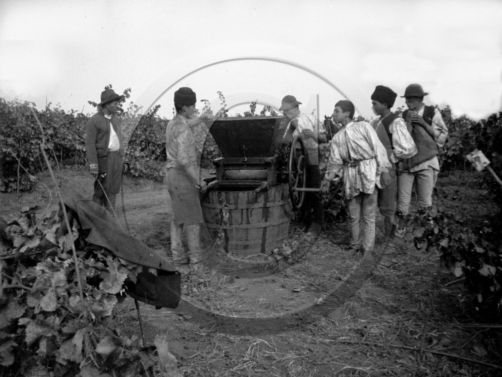 AG 111  .jpg