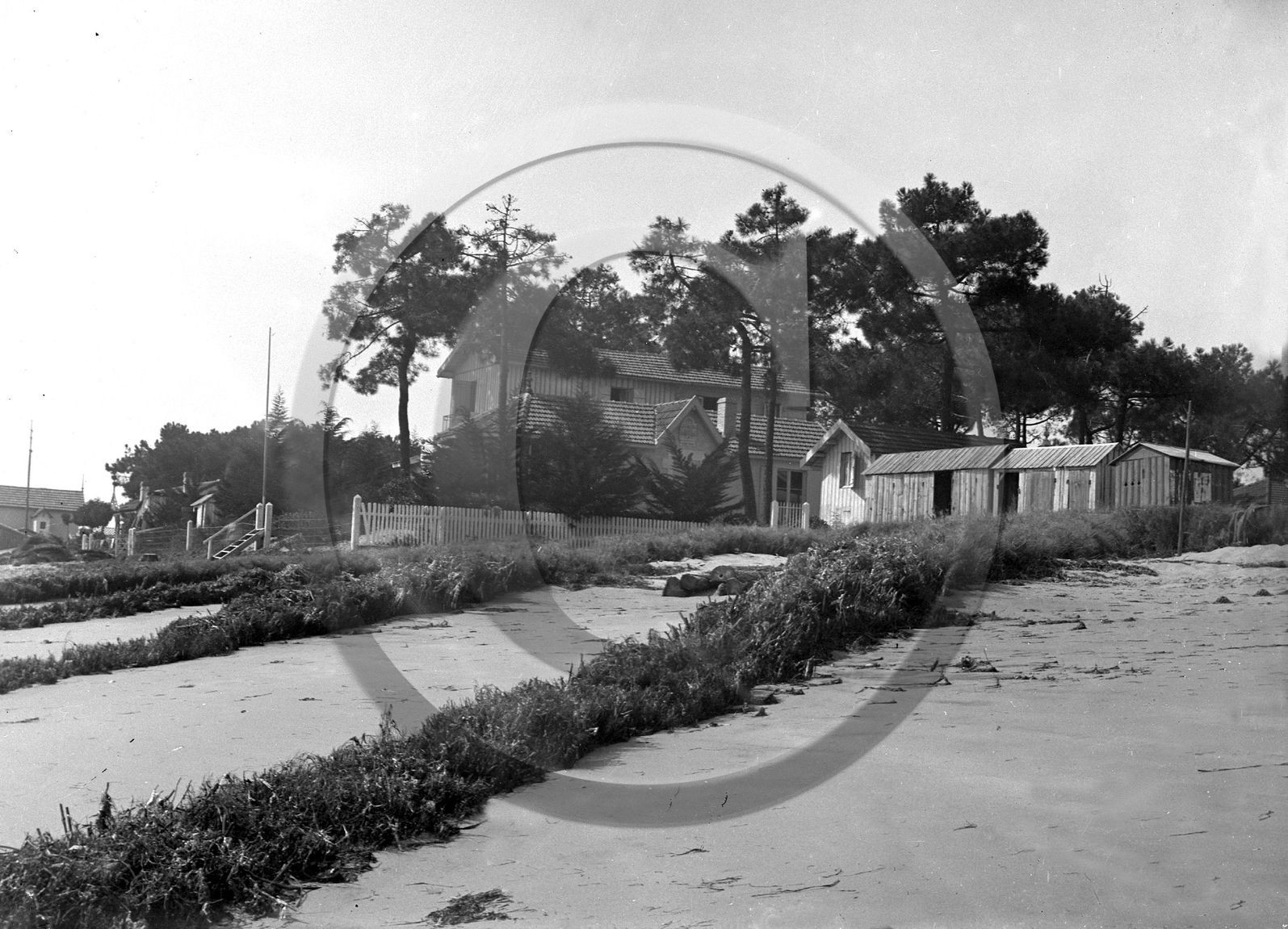 arc 2395.jpg