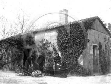 AG 374.jpg