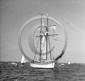 arc 4233 .jpg