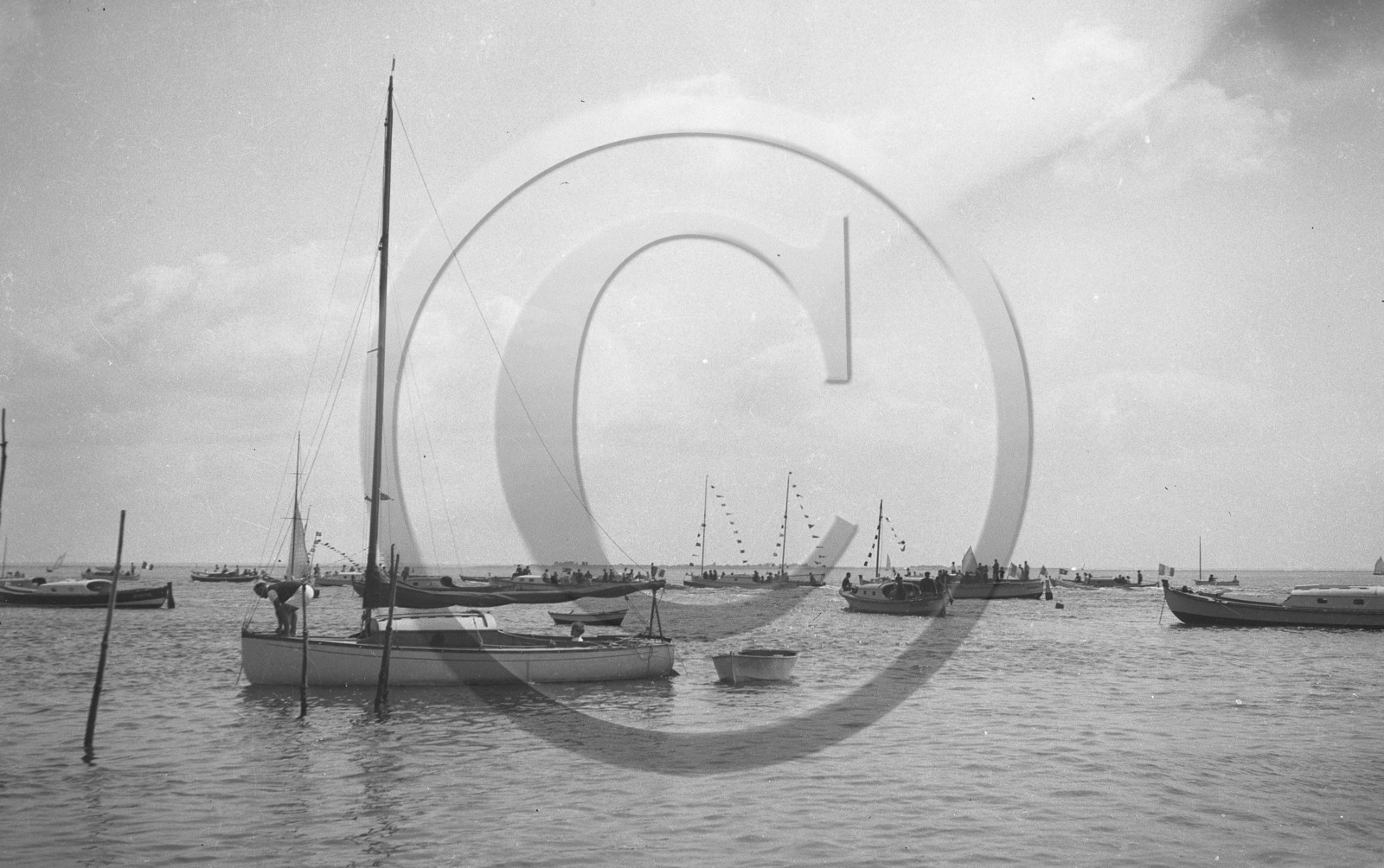 arc 3828.jpg