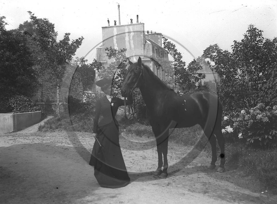 equitation (2).jpg