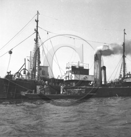 arc 1649.jpg