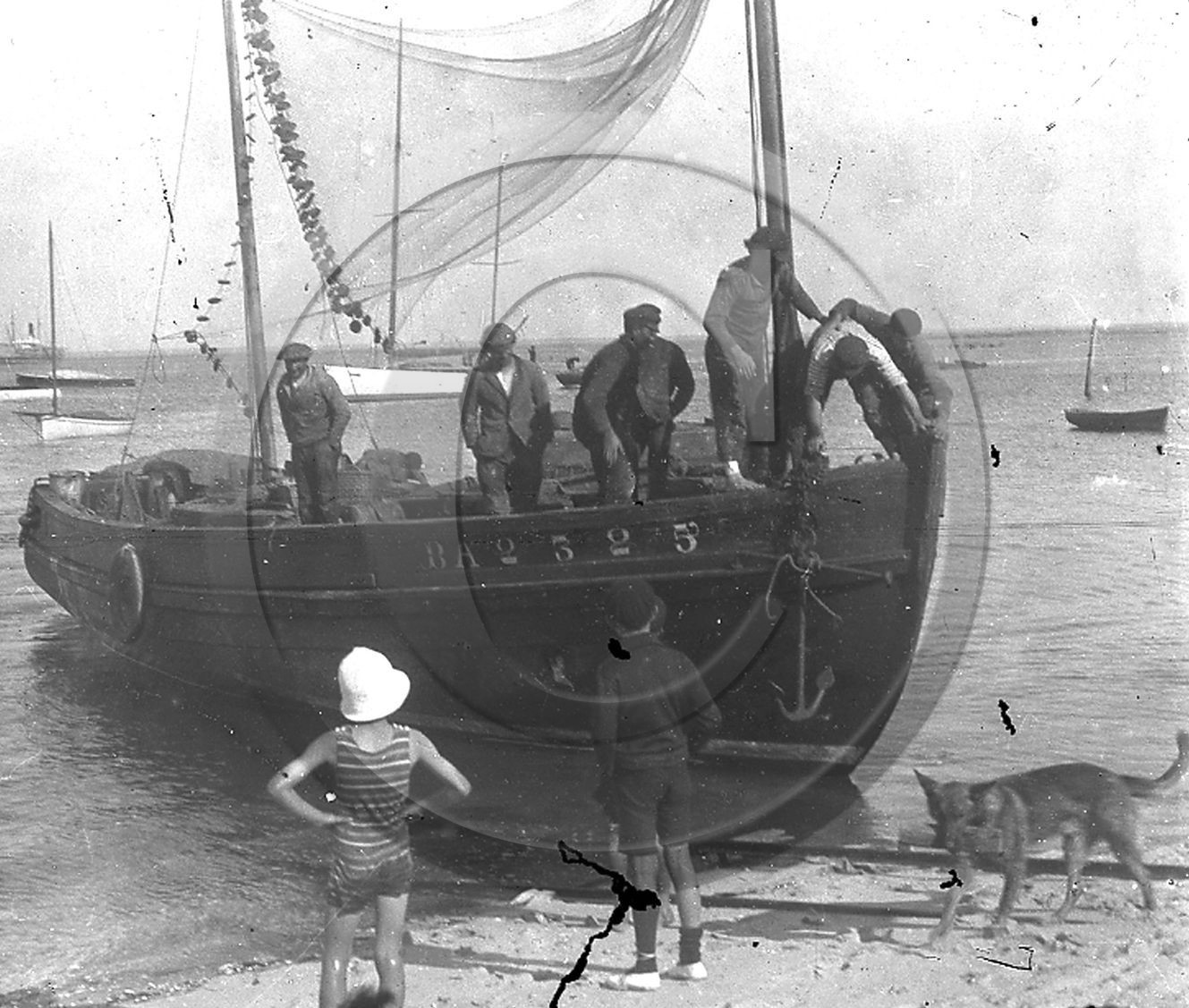arc 1156 bis.jpg