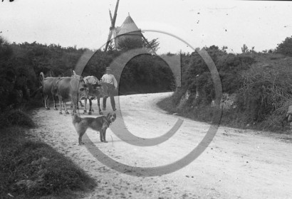 ag 311.jpg