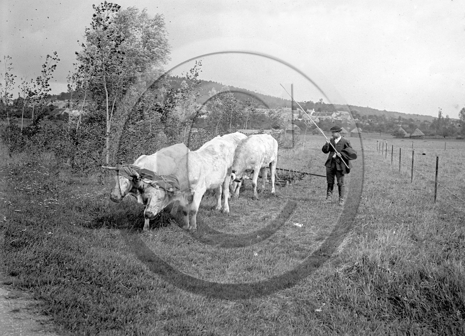 ag 511.jpg