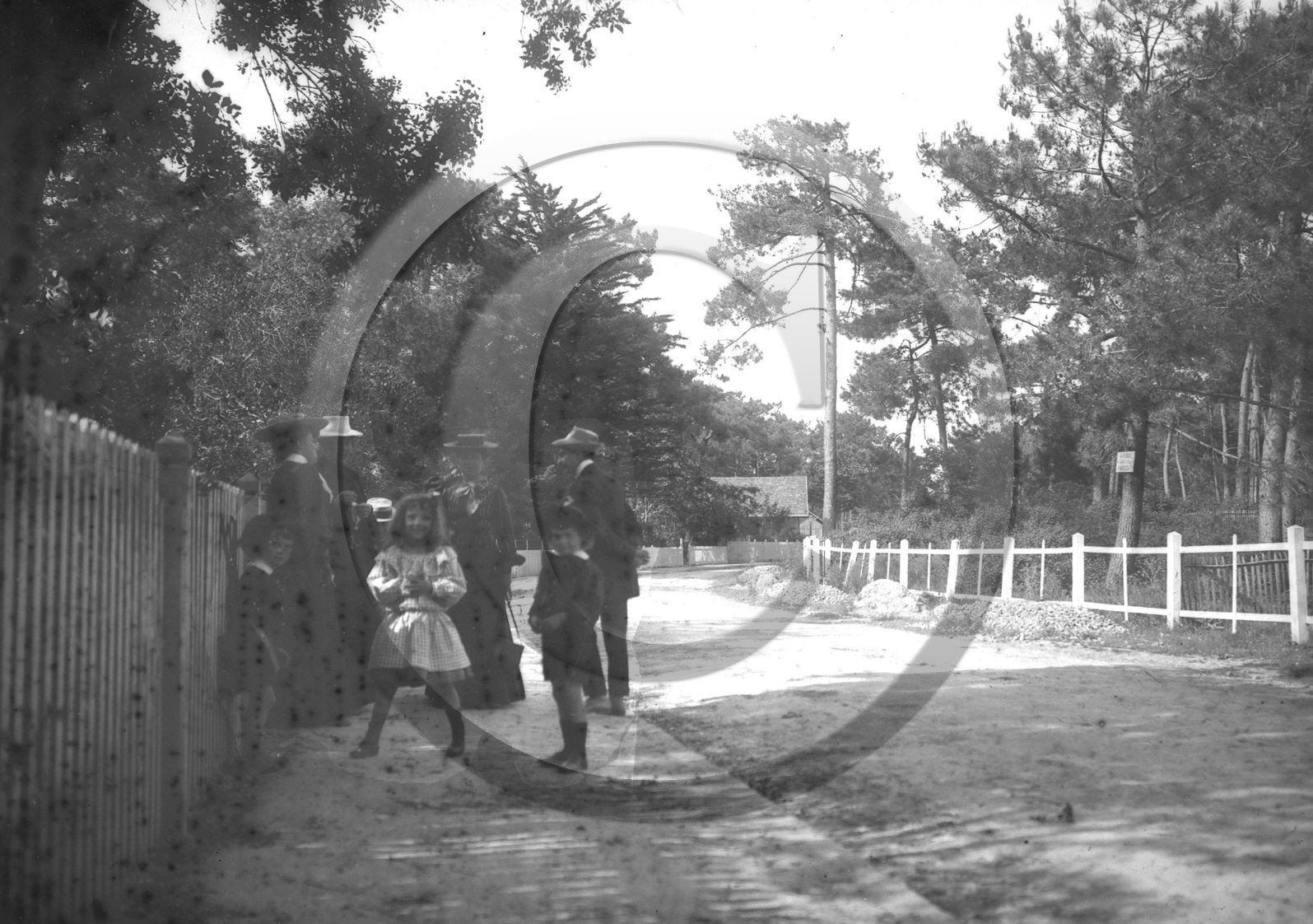 arc 2765.jpg