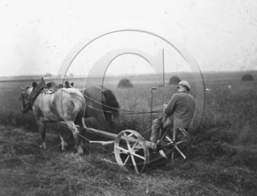 AG 224.jpg