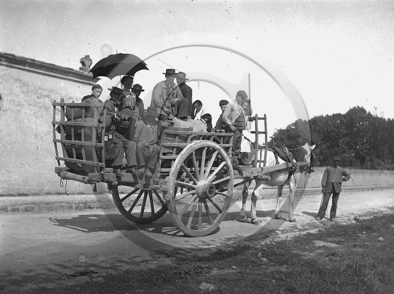AG 376.jpg