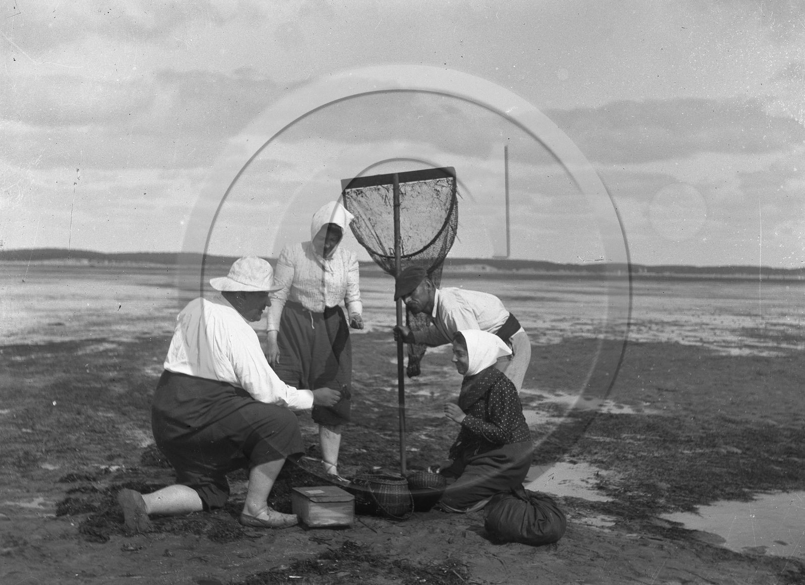 arc 3398.jpg