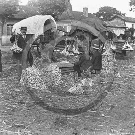 AG 146.jpg