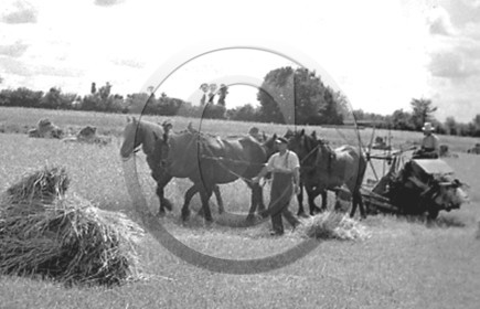 AG 177.jpg