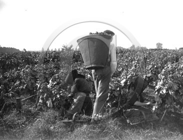 AG 284.jpg