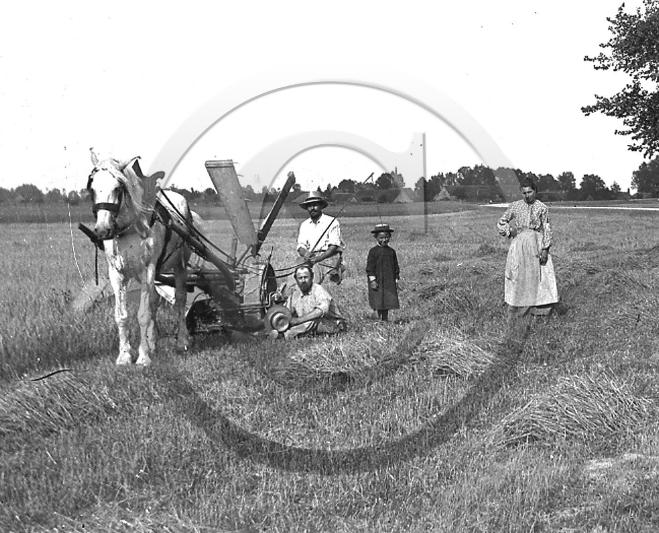 AG 385.jpg