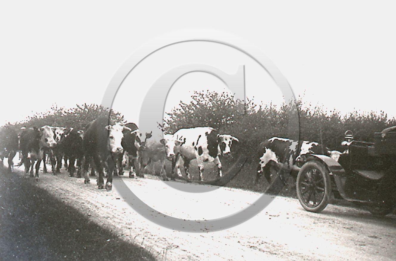 AG 36.jpg