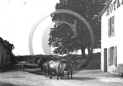 AG 138.jpg