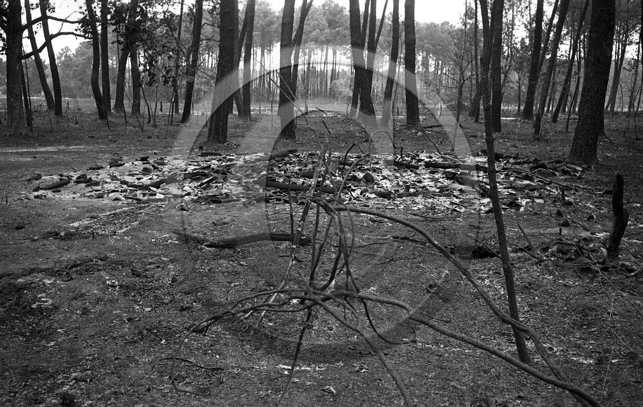 Pompiers du bassin d'Arcachon