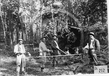 SL 212 Grignols palombieres.jpg