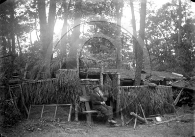 vi  535 chasse Grignols palombiere dpt 33.jpg