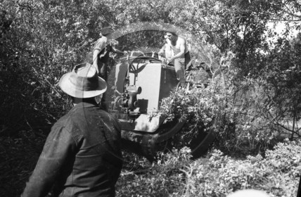 Pompiers du bassin d'Arcachon