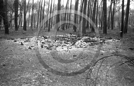 Pompiers du bassin d'Arcachon