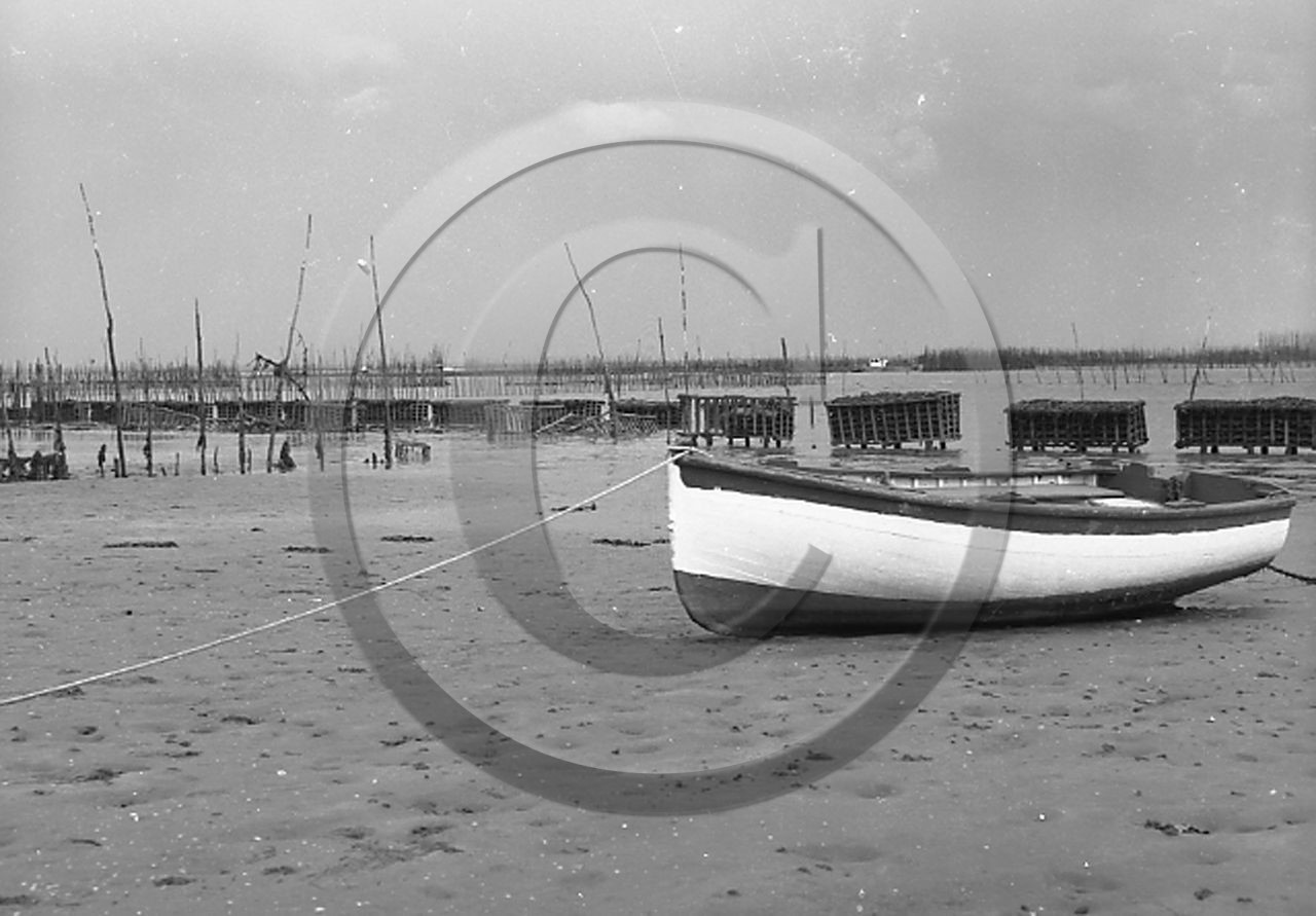 arc 1084 parc a huitres bateau .jpg