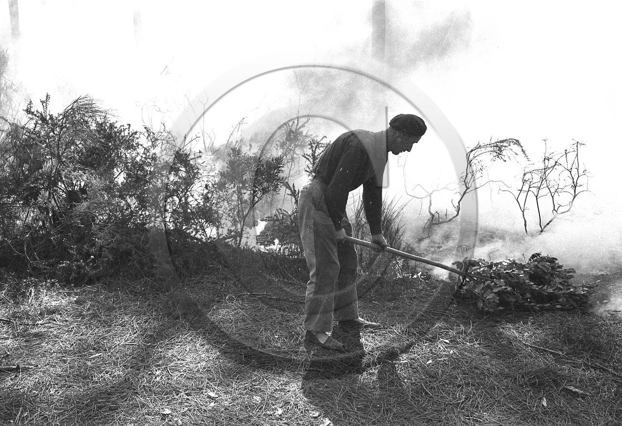 Pompiers du bassin d'Arcachon