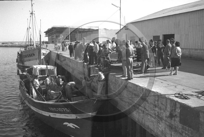 Arcachon -2 octobre 1961 ARC 10751 et Désire  -2  - .jpg