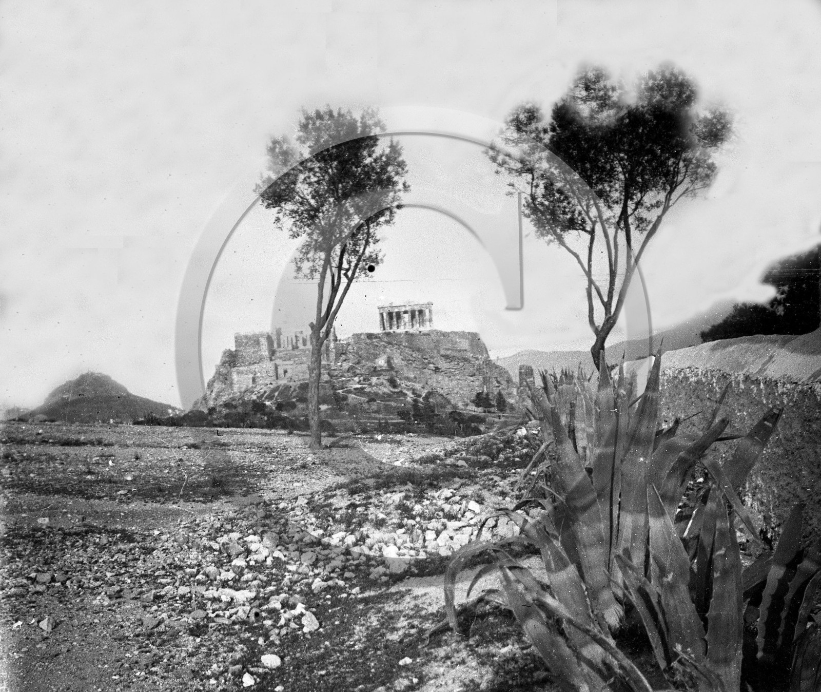 Athenes l Acropole .jpg