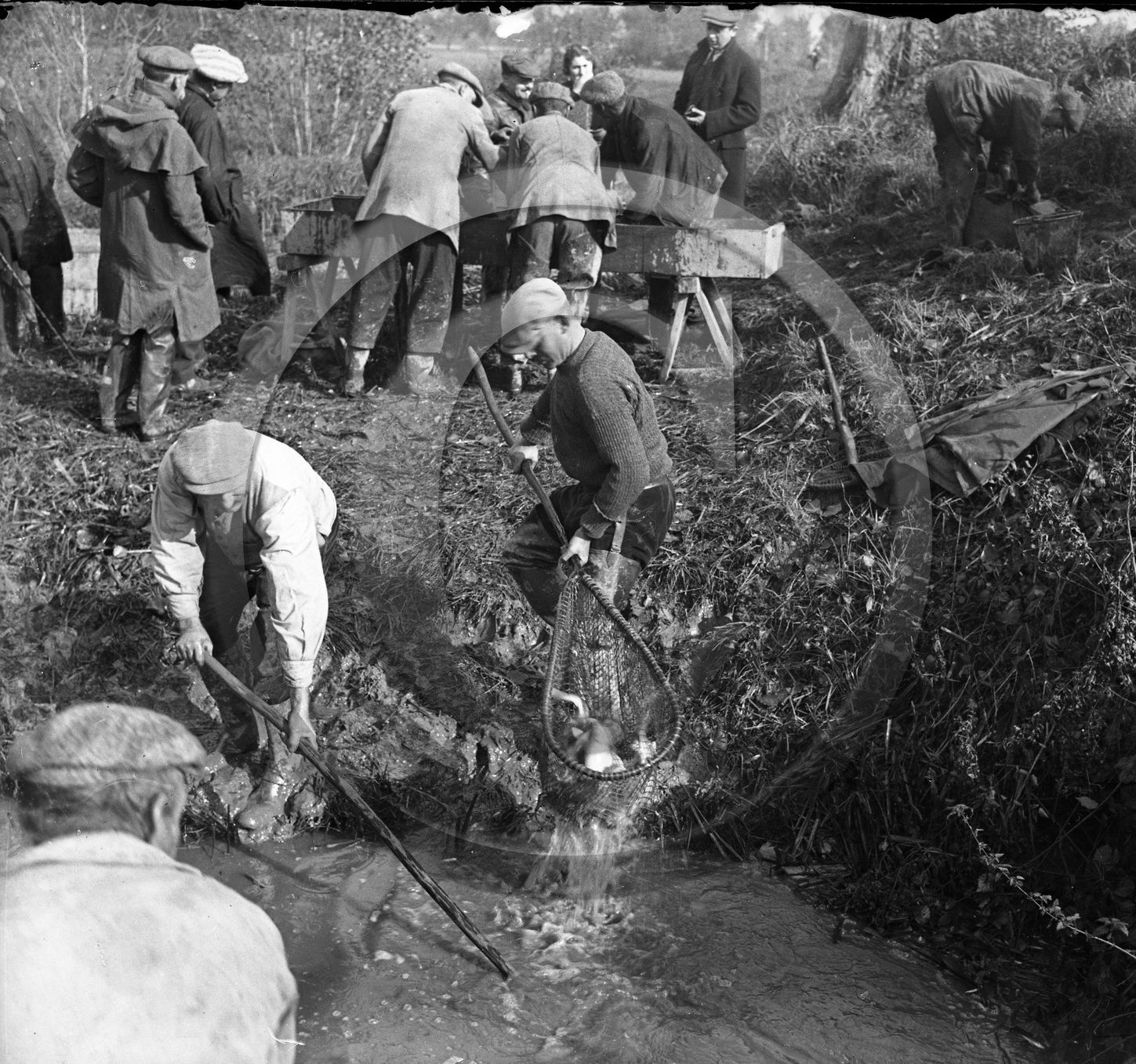 SL 311 peche serie de 7 negatifs .jpg