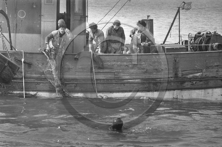 Arcachon - 4 mars 63  chalutier Gilbert Andre ,Ile d'Yeu vue partielle 5  .jpg