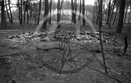 Pompiers du bassin d'Arcachon