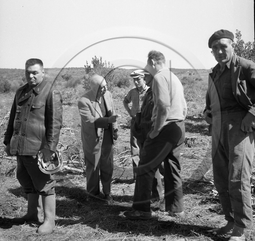 Pompiers du bassin d'Arcachon