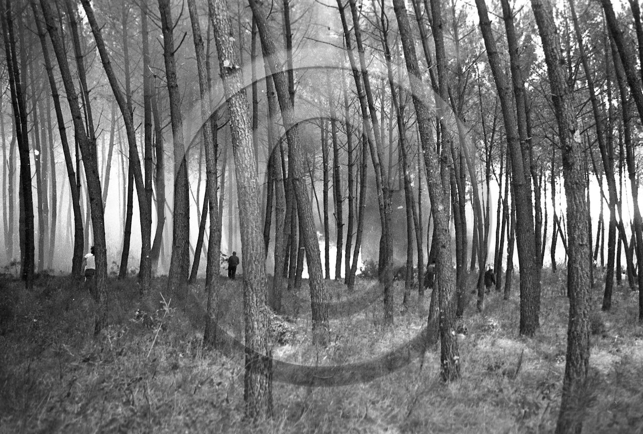 Pompiers du bassin d'Arcachon