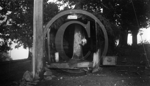 vi  486 chasse a la palombe Sare 1929 cabane de Mr Hiriart dpt 64.jpg