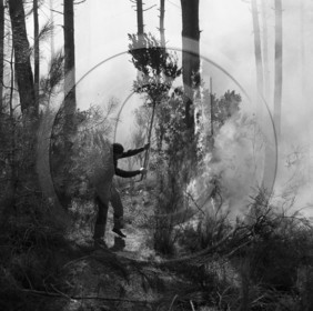 Pompiers du bassin d'Arcachon