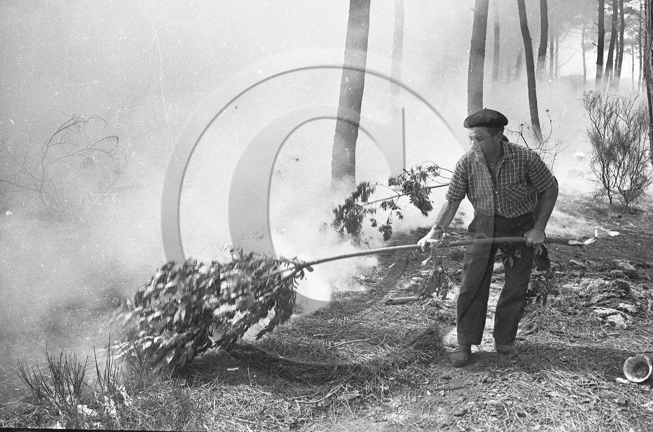 Pompiers du bassin d'Arcachon