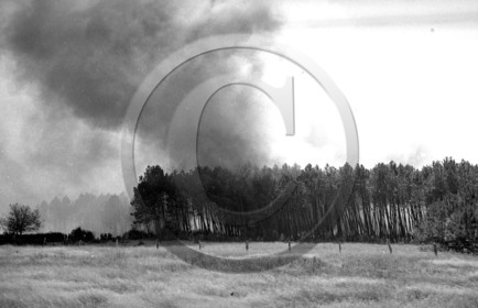 Pompiers du bassin d'Arcachon