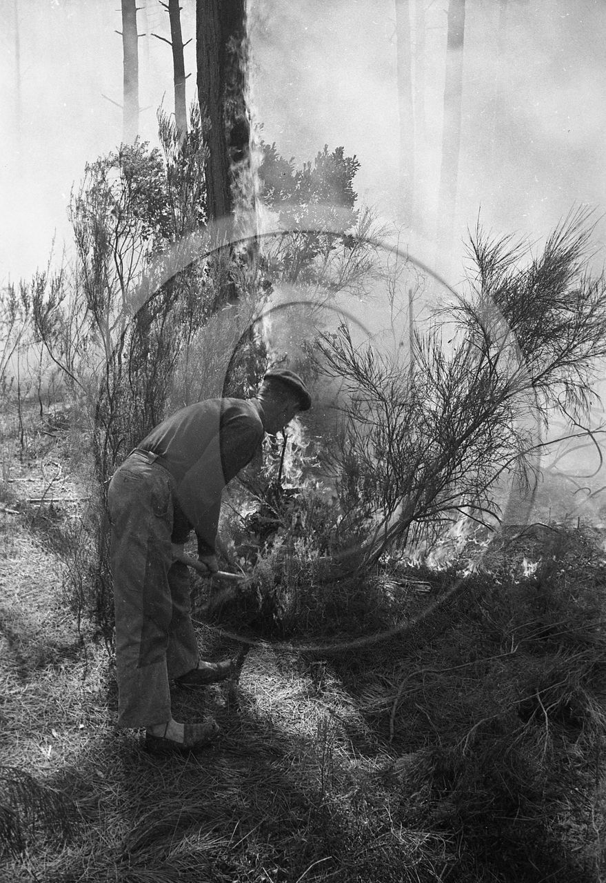 Pompiers du bassin d'Arcachon